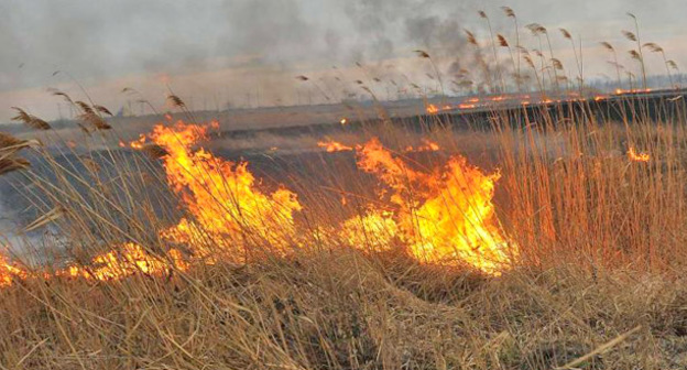 Пожар. Фото: Михаил Ступин / Югополис