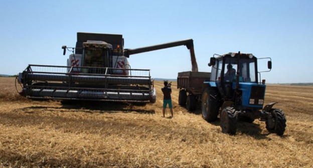 Уборка урожая. Фото http://www.anaparegion.ru/