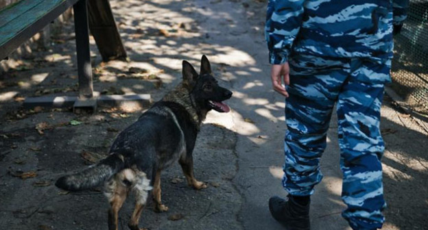 Сотрудник полиции. Фото: Федор Обмайкин / Югополис