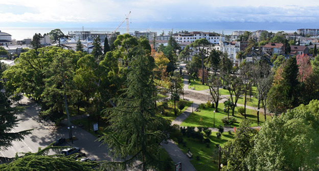 Вид на центральный парк в Сухуме. Фото: © Sputnik / Томас Тхайцук
 http://sputnik-abkhazia.ru/analytics/20151208/1016546895.html