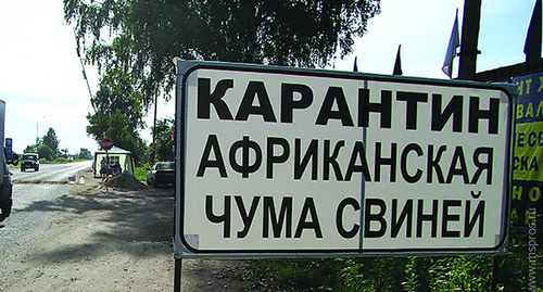 Объявление об Карантине по АЧС. Фото: http://mspros.ru/main?article=8743