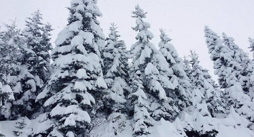Обильный снегопад стал причиной перекрытия движения на перевале Годердзи. Фото: https://www.facebook.com/Goderdzi.ski