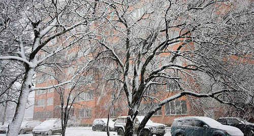 Снег на Кубани. Фото http://www.livekuban.ru/news/proisshestviya/na-kubani-vozmozhny-chs-iz-za-gololeda-i-mokrogo-snega/