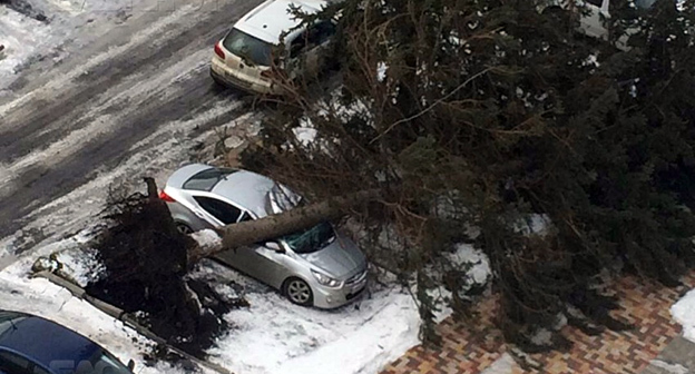 Последствия сильного ветра в Ставрополе. Фото: https://vk.com/26stav
