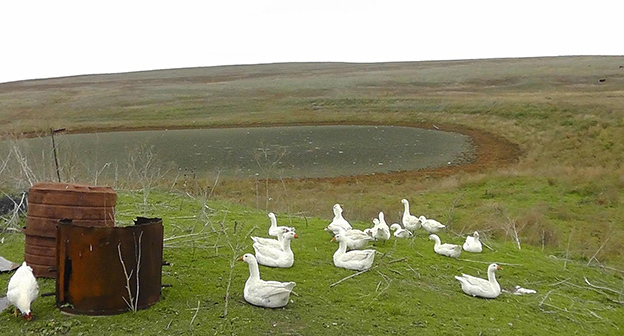 осушенное озеро за хутором Волна, откуда люди брали воду для скота. Фото Анны Грицевич для "Кавказского узла"