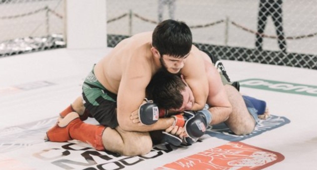 Поединок MMA. Фото http://unionmma.ru/