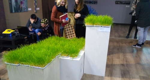 Инсталляция "Жажда жизни". Фото Ильяса Капиева для "Кавказского узла"