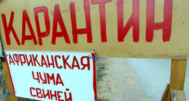 Предупреждающий плакат. Фото: Юрий Гречко / Югополис