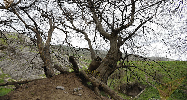 Гадрут. Нагорный Карабах. Фото © Sputnik/ Asatur Yesayants
 http://ru.armeniasputnik.am/karabah/20161227/5931179/za-noch-azerbajdzhan-narushil-rezhim-peremiriya-70-raz.html