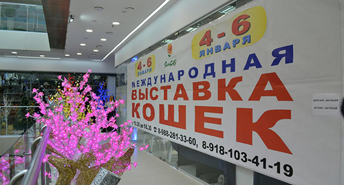 Баннер выставки. Фото Светланы Кравченко для "Кавказского узла"