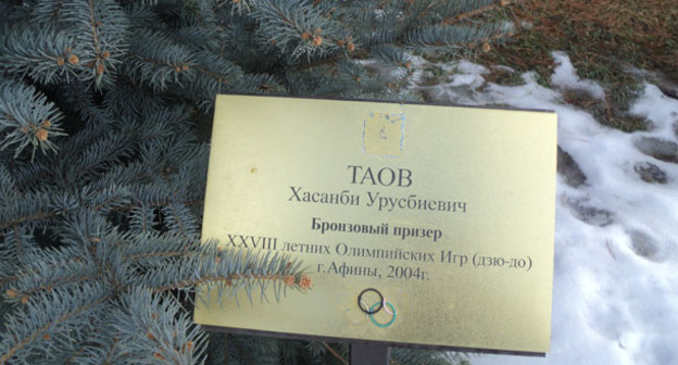 Поврежденная именная табличка на Олимпийской аллее в Нальчике. 6 февраля 2017 г. Фото Людмилы Маратовой для "Кавказского узла"