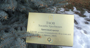 Поврежденная именная табличка на Олимпийской аллее в Нальчике. 6 февраля 2017 г. Фото Людмилы Маратовой для "Кавказского узла" Поврежденная именная табличка на Олимпийской аллее в Нальчике. 6 февраля 2017 г. Фото Людмилы Маратовой для "Кавказского узла"