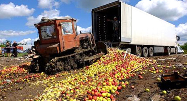 Уничтожение яблок. Фото http://www.donnews.ru/