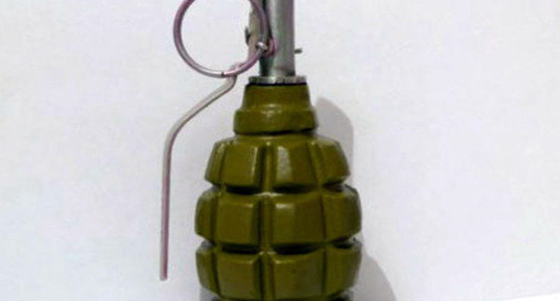 Граната. Фото www.yugopolis.ru