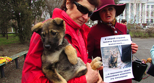 Участники митинга "За защиту животных" с плакатом. Фото Вячеслава Ященко для "Кавказского узла"