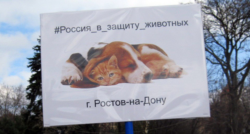 Плакат участницы пикета в защиту животныхПлакат с требованием ужесточения наказания живодёрамФото Константина Волгина для "Кавказского узла" Плакат участницы пикета в защиту животныхПлакат с требованием ужесточения наказания живодёрамФот... Плакат участницы пикета в защиту животныхПлакат с требованием ужесточения наказания живодёрамФото Константина Волгина для "Кавказского узла" Плакат участницы пикета в защиту животныхПлакат с требованием ужесточения наказания живодёрамФото Константина Волгина для "Кавказского узла"