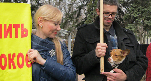 Участники пикета в защиту животныхПлакат с требованием ужесточения наказания живодёрамФото Константина Волгина для "Кавказского узла" Участники пикета в защиту животныхПлакат с требованием ужесточения наказания живодёрамФото Константина Волгина для "Кавказского узла"