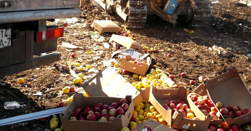 Уничтожение изъятой партии яблок. Фото https://golos-kubani.ru/