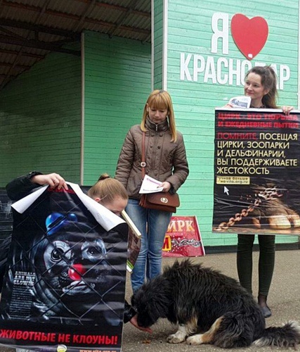 Участники пикета призвали гуманно относиться к бездомным животным. Краснодар, 15 апреля 2017 года. Фото Алексея Мандригели для "Кавказского узла"