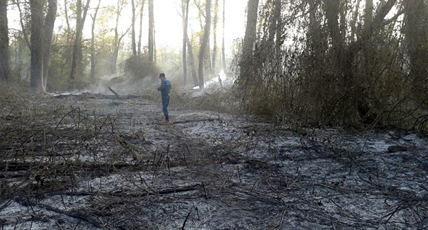 Пожар  на территории заповедника "Самурский". Фото http://www.riadagestan.ru/news/disasters_and_catastrophes/na_yuge_dagestana_gorit_samurskiy_les/