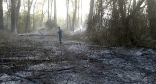 Пожар  на территории заповедника "Самурский". Фото http://www.riadagestan.ru/news/disasters_and_catastrophes/na_yuge_dagestana_gorit_samurskiy_les/