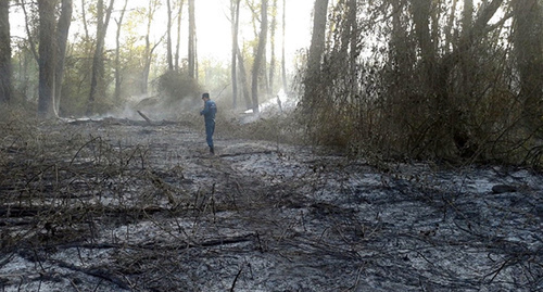 Пожар  на территории заповедника "Самурский". Фото http://www.riadagestan.ru/news/disasters_and_catastrophes/na_yuge_dagestana_gorit_samurskiy_les/