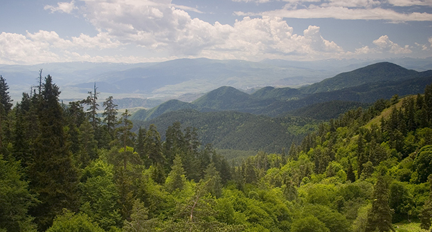 Боржоми-Харагаульский национальный парк. Фото Polscience https://ru.wikipedia.org