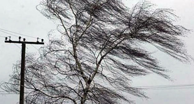 Сильный ветер. Фото https://haqqin.az/news/99616