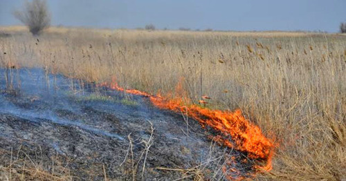 Ландшафтный пожар. Фото http://astravolga.ru