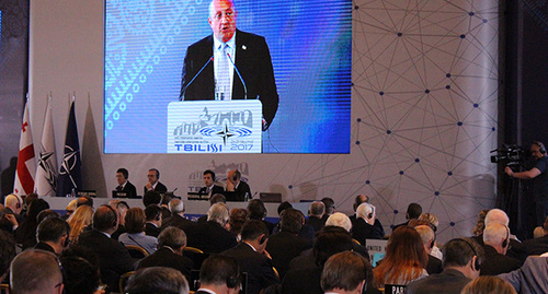 Пленарная сессия парламентской ассамблеи НАТО в Грузии. Фото Инны  Кукуджановой для "Кавказского узла"