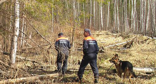  Сотрудники МЧС во время поиска в лесу. фото: http://xzm.northsport.ru