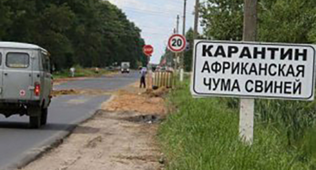 Табличка с предупреждением об АЧС на дороге. Фото http://piginfo.ru/news/?SECTION_ID=&ELEMENT_ID=13216