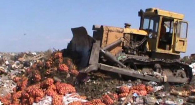 Уничтожение лука. Фото http://donday.ru