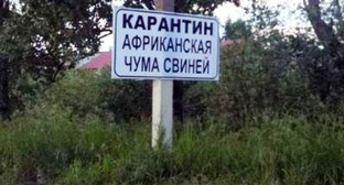 Табличка "Карантин по АЧС" Фото http://www.vluki.ru/news/2015/10/13/385447.html 