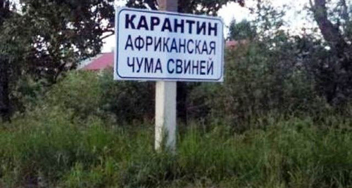 Табличка "Карантин по АЧС" Фото http://www.vluki.ru/news/2015/10/13/385447.html 