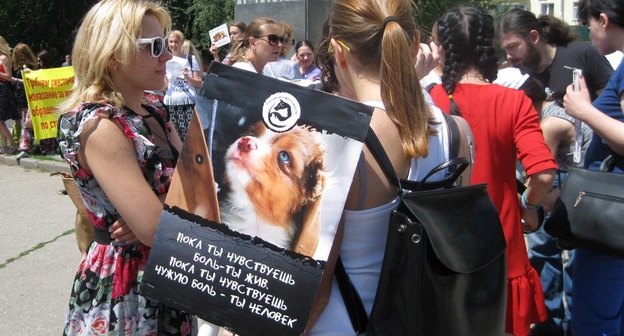 Участники пикета в защиту животных. Ростов-на-Дону, 8 июля 2017 г. Фото Константина Волгина для "Кавказского узла"