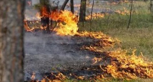 Пожар в лесу. Фото http://bloknot-stavropol.ru/news/o-vysokoy-pozharoopasnosti-v-ponedelnik-predupredi