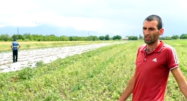 Фермер в селе Маргастан. Фото: стоп-кадр видео https://ru.armeniasputnik.am