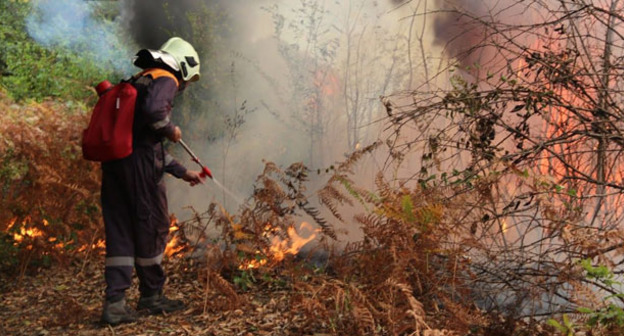 Лесной пожар © Пресс-служба ЮРПСО МЧС России