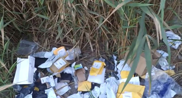 Житель Ростова-на-Дону нашел в зарослях камыша множество пустых упаковок от посылок, отправленных "Почтой России". 22 июля 2017 г. Фото http://privet-rostov.ru