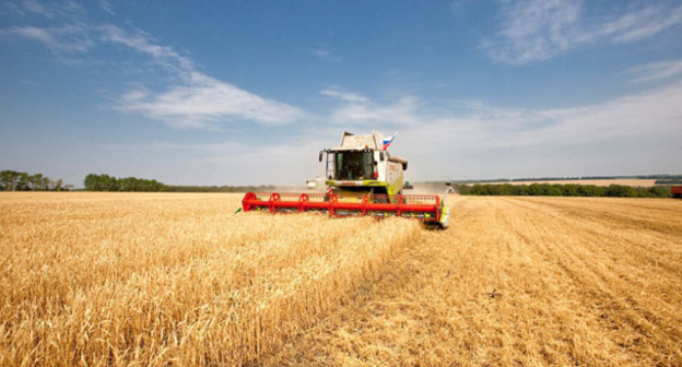 Сбор урожая. Фото https://chechnyatoday.com/content/view/303469