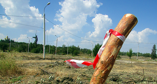 Вырубка "Парка вдов" в Волгограде. Фото Вячеслава Ященко для "Кавказского узла"