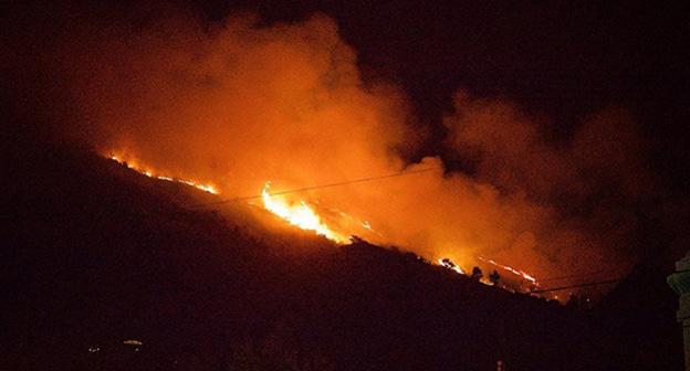 Значительный участок лесного массива на горе Мтацминда охвачен огнем Фото  SPUTNIK / DENIS ASLANOV
 https://sputnik-georgia.ru/photo/20170809/236910259/les-mtatsminda-v-ogne-snimki-pojara-iz-raznih-rayonov-tbilisi.html