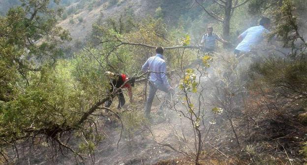Пожар в лесу. Фото https://ru.armeniasputnik.am