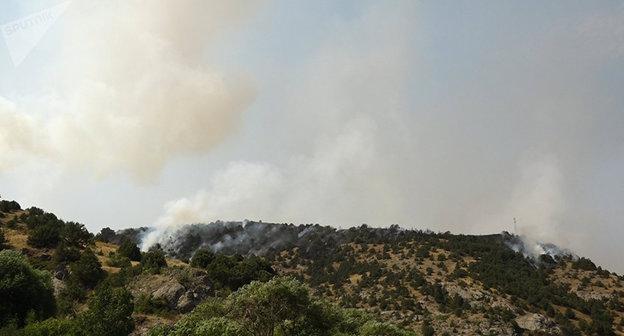 Пожар в Артаване. Фото © Sputnik/ Karen Yepremyan
https://ru.armeniasputnik.am/incidents/20170812/8242912/iz-iskry-vozgorelos-plamya-izvestny-prichiny-pozhara-v-vajoc-dzore.html