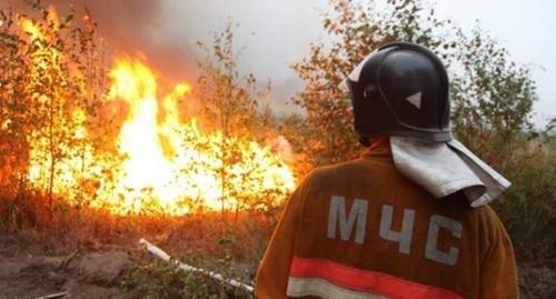 Тушение лесного пожара Фото http://bloknot-rostov.ru/news/ekstrennoe-preduprezhdenie-o-pozharoopasnoy-obstan-861641?sphrase_id=343714