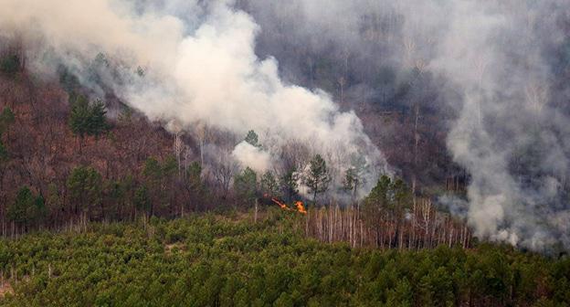 Природный пожар. Фото © Sputnik/ Игорь Агеенко
