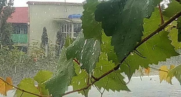 Сильный дождь Фото Нины Тумановой для "Кавказского узла"