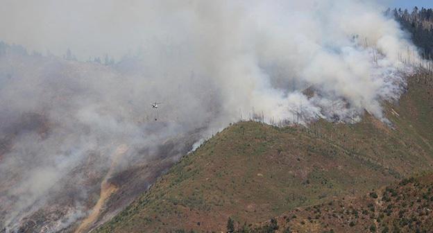 Пожар в Боржоми–Харагаульском национальном парке. Грузия, август 2017 г. Фото: Ministry of Internal Affairs of Georgia
