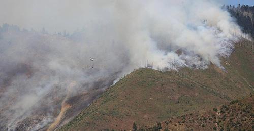 Пожар в Боржоми–Харагаульском национальном парке. Грузия, август 2017 г. Фото: Ministry of Internal Affairs of Georgia
